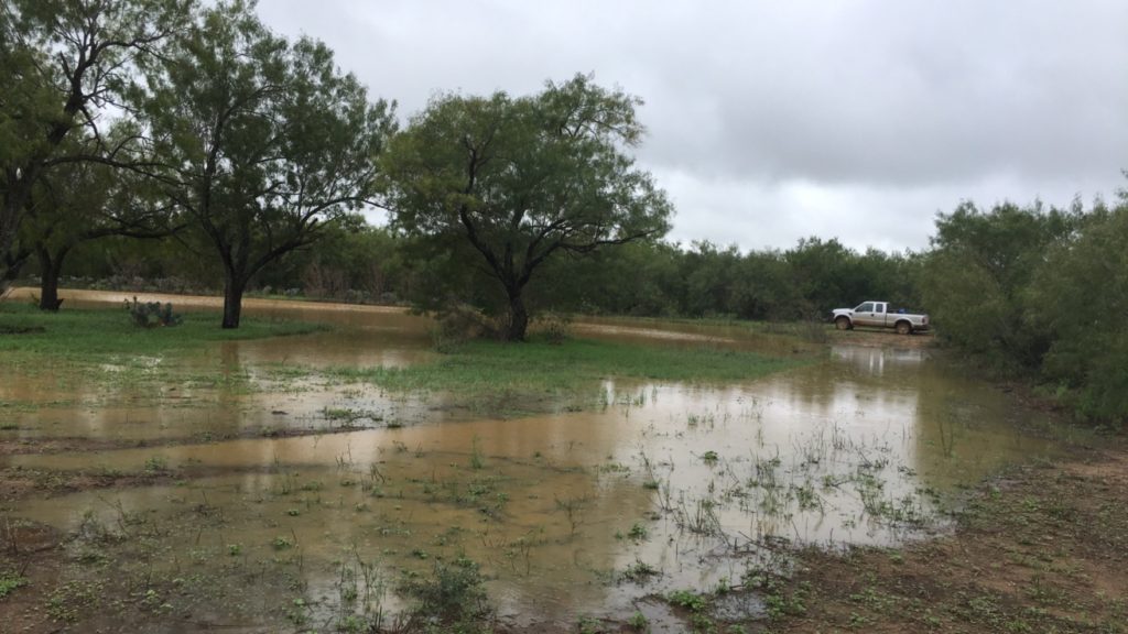 South Zone Dove Season Sportsman's Junction