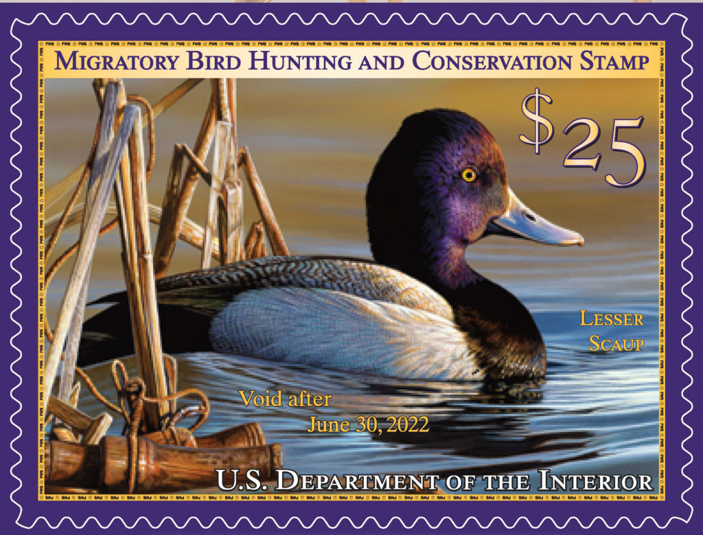 Duck Stamp AKA Migratory Bird Hunting Stamp